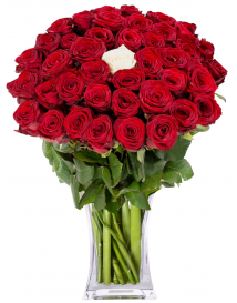 ČERVENE RUŽE + 1 BIELA