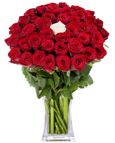 ČERVENE RUŽE + 1 BIELA