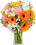 Orange Gerbera: Flowers Online