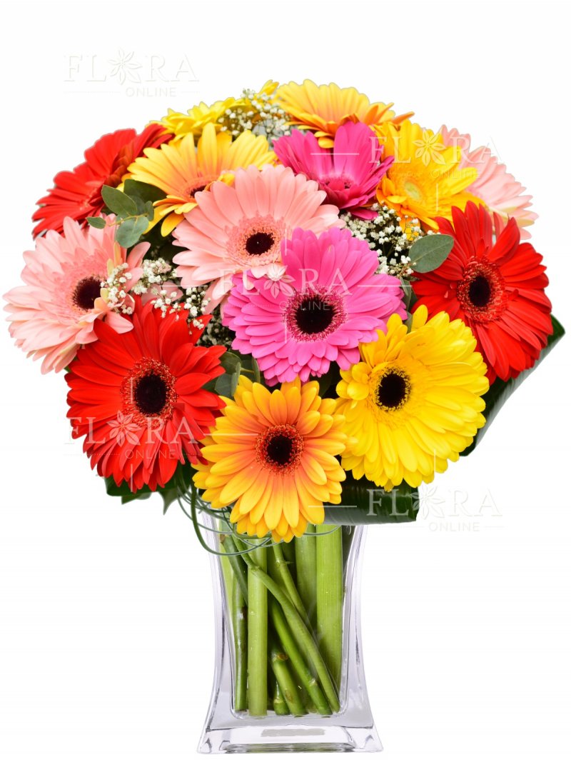 Gerbera bouquet: flowers online