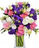 Eustoma: Flora Online