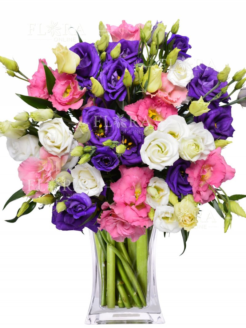 Eustoma: Flora Online