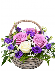 KVETINOVÝ KOŠ PURPLE