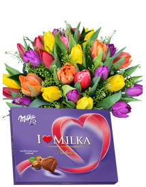 TULIPANY + MILKA 110g