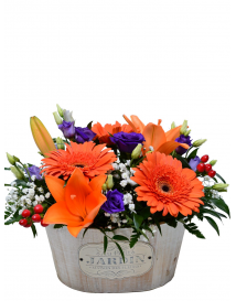 KVĚTINOVÝ KOŠ PENELOPE