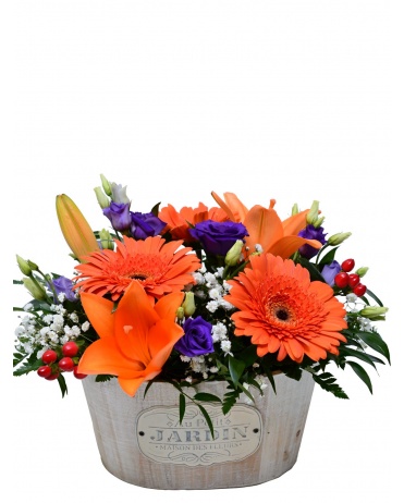 Цветочная корзина PENELOPE