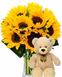 Sunflower and plush teddy bear - flower delivery