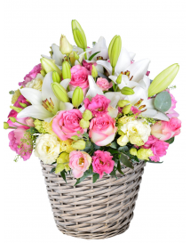 KVĚTINOVÝ KOŠ CORAL