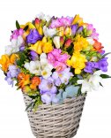 Flower basket - flower delivery