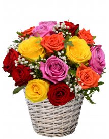 KVĚTINOVÝ KOŠ EDIT