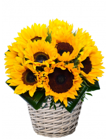 FLOWER BASKET DITA