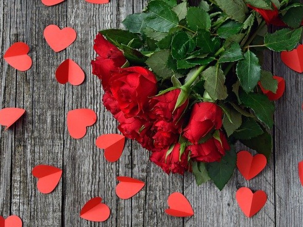 Růže k Valentýnovi