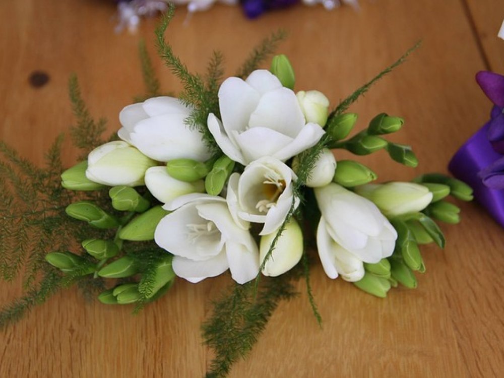 Devět vyvolených květin do letní svatební kytice