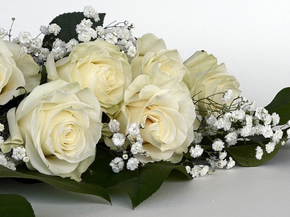 Kdy a za jaké příležitosti poslat kytici bílých růží?