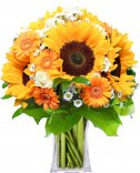 Sunflower: Flower delivery