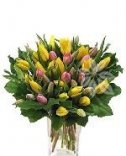 Donáška kvetov - farebné tulipány