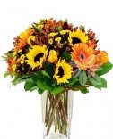 Flowers online - sunflower + gerbera
