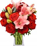 Ľalia + Ruže: rozvoz kvetín