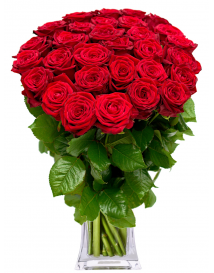 KYTICA ČERVENÝCH RŮŽÍ