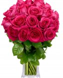 Růžové růže - Flora-Online