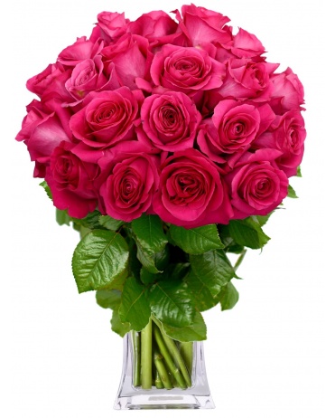 KYTICE RŮŽOVÝCH RŮŽÍ