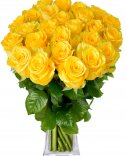 Žluté růže - Flora-Online