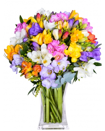 www.flora-online.cz/upload/media/399/447-_preview_exact_0_371x462.jpg
