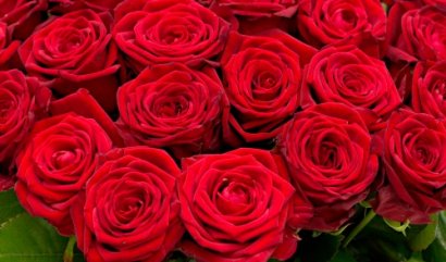 Бонд букет из 100 роз