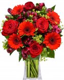 Růže + Gerbery + Alstromerie : květiny online