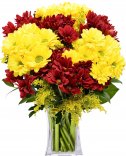 Chrysanthemums: flower delivery