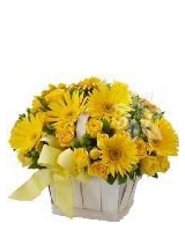 KVETINOVÝ KÔŠ YELLOW