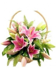 Цветочная корзина Cофиe