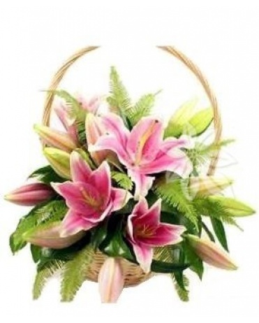 KVĚTINOVÝ KOŠ SOFIE