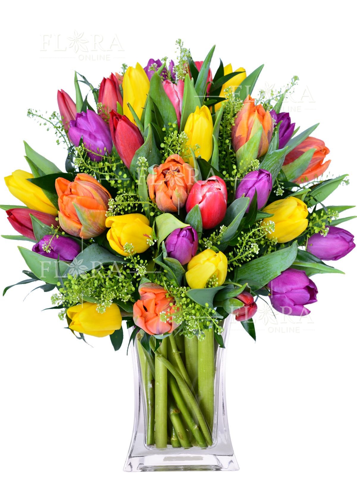www.flora-online.cz/upload/media/69/579.jpg