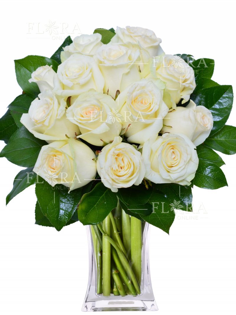 Bílé růže - rozvoz květin kamkoliv