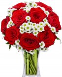 Červené růže + santiny : rozvoz květin