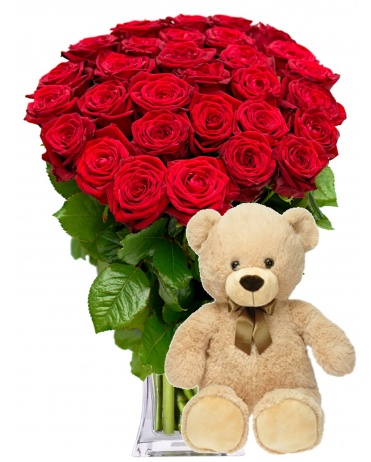 RUDÉ RŮŽE + PLYŠÁK