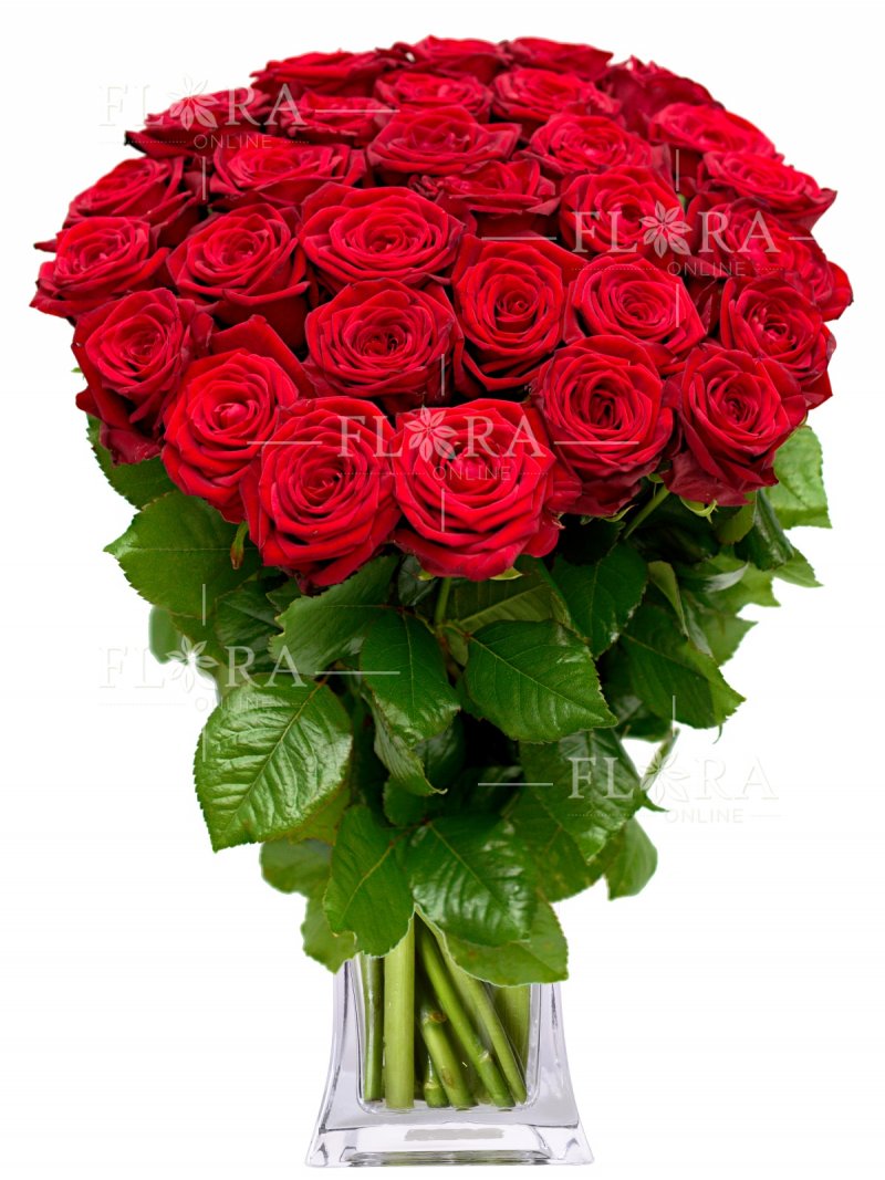75 красных роз: доставка цветов