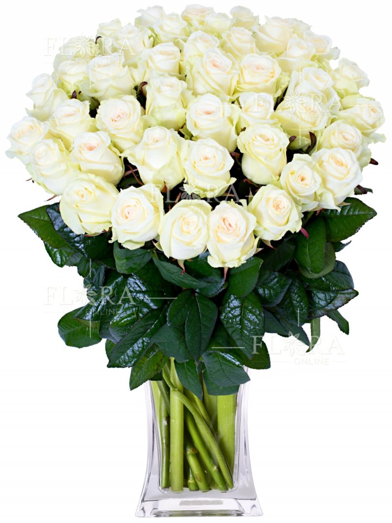 30 bílých růží : rozvoz květin