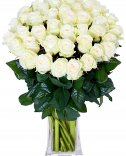 150 bílých růží : rozvoz květin